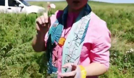 采蘑菇视频大全,跟随采蘑菇视频大全，解锁菌菇采摘奥秘