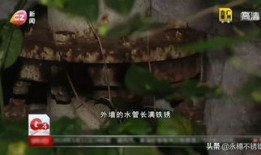 很黄很污的视频,一场“很黄很污”的视频狂欢